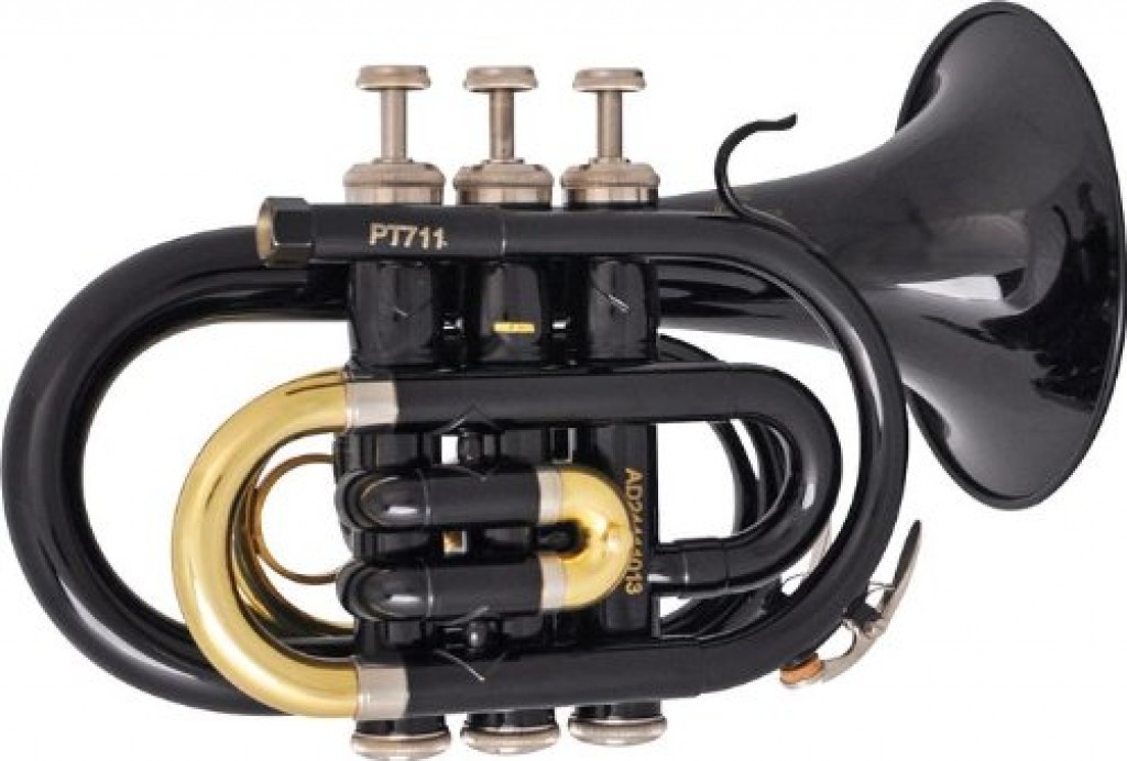 Best Pocket Trumpets Reviewed and Rated TrumpetHub