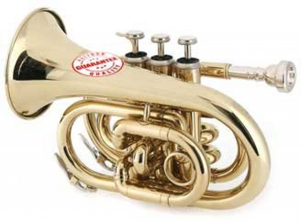 Best Pocket Trumpets Reviewed and Rated TrumpetHub