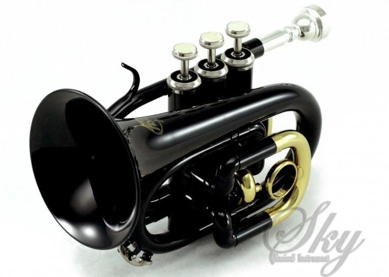 Best Pocket Trumpets Reviewed and Rated TrumpetHub