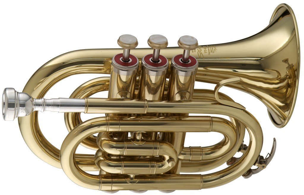 Best Pocket Trumpets Reviewed and Rated TrumpetHub