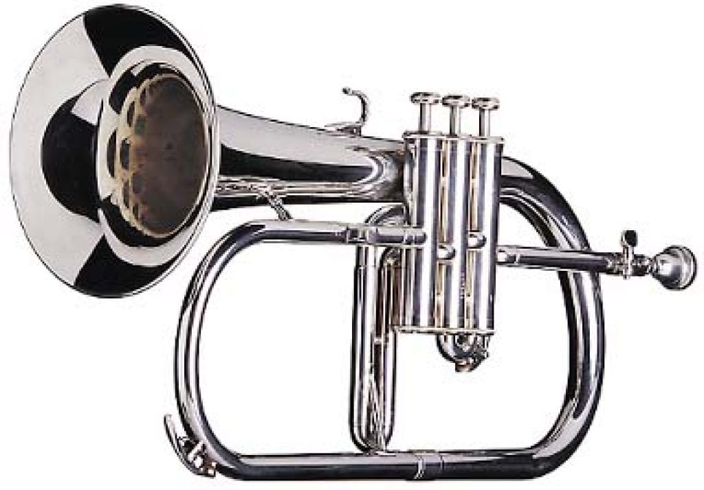 What different types of trumpets are there?