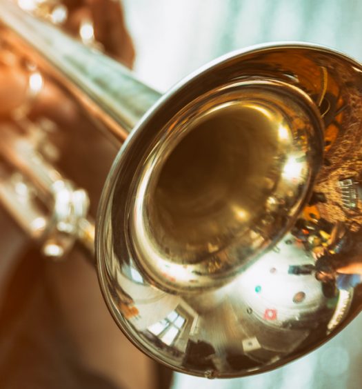 What Are the Different Types of Trumpets Available To Players?
