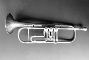 Black and white trumpet