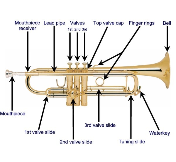 Generic Trumpet Slide Finger with Holder Trumpet Parts Accessories 75mm Length