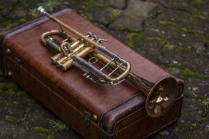 Trumpet Case