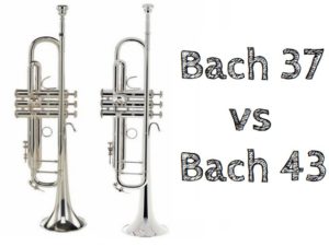 Bach Strad 37 and Bach Strad 43